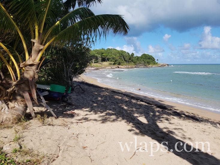 a l'ombre des cocotiers à Anse Vinty