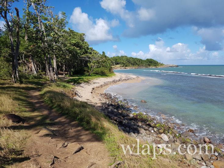 Le sentier qui mène à Anse Vinty
