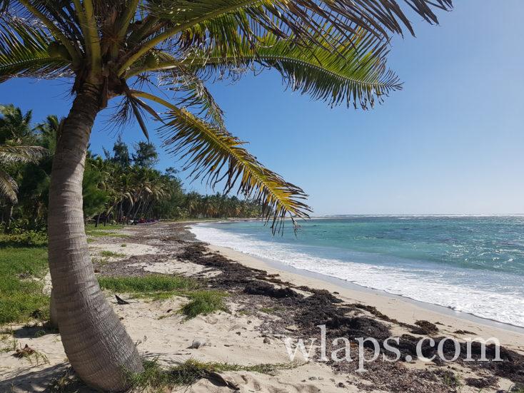 La plage à Fanfan