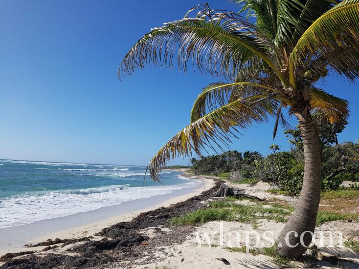 La plage à Fanfan à la désirade