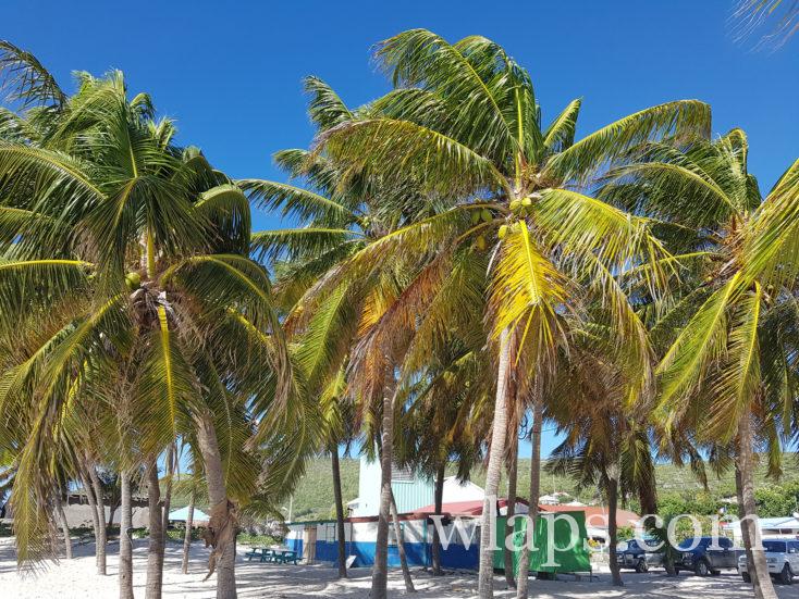 plage à Fifi
