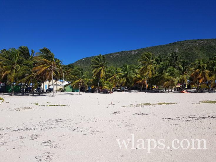 plage à Fifi et cocotiers à la désirade