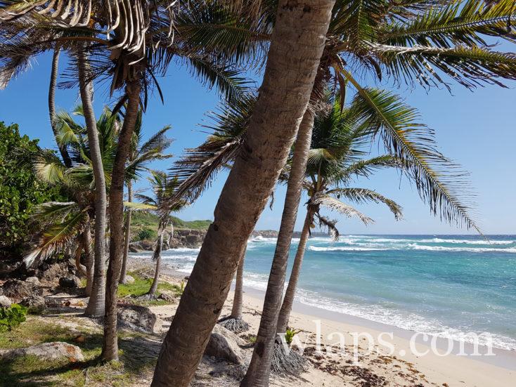 Plage de la Petite Rivière à la désirade
