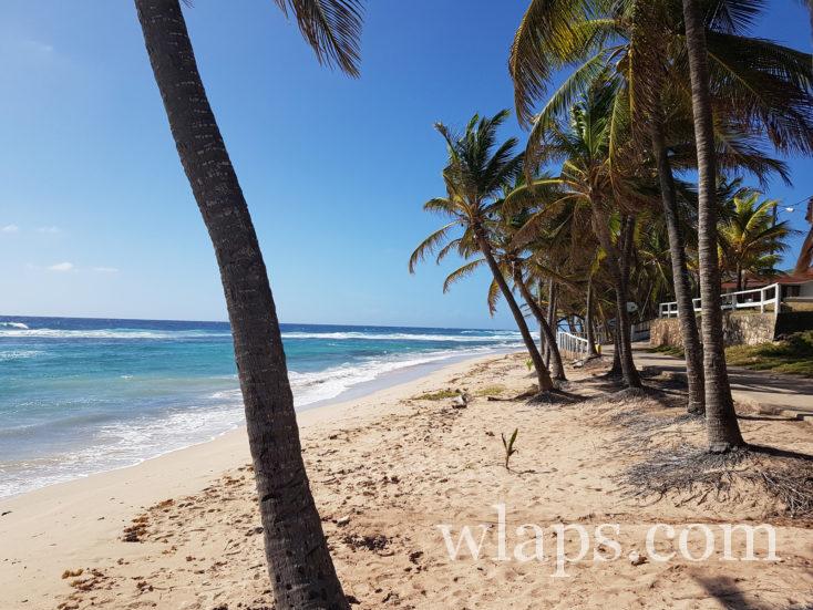 Plage de la Petite Rivière