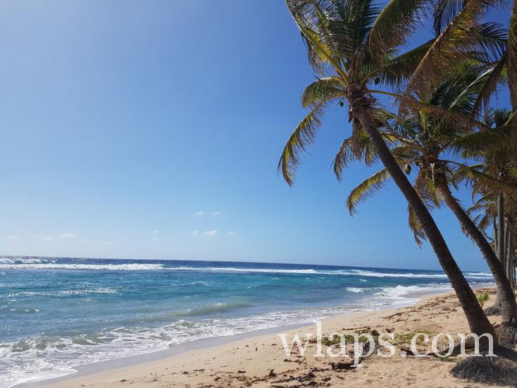 la mer à la plage de la Petite Rivière
