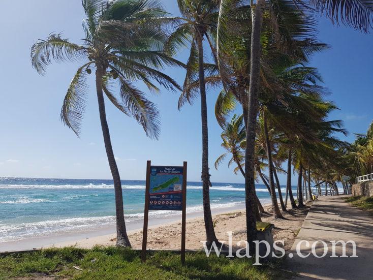 plage de la Petite Rivière à la désirade