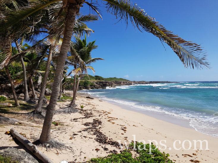 vue sur la plage de la Petite Rivière