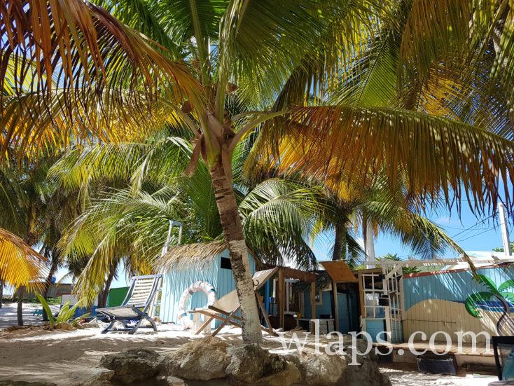 cadre du restaurant Les pieds dan'l sable