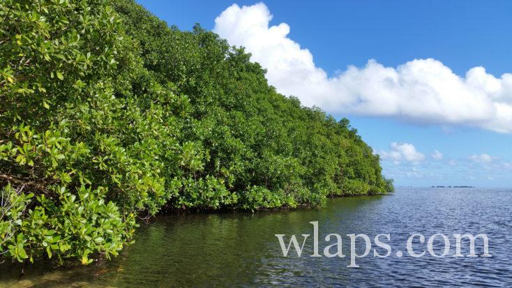 ilet fajou un des ilets de la Guadeloupe