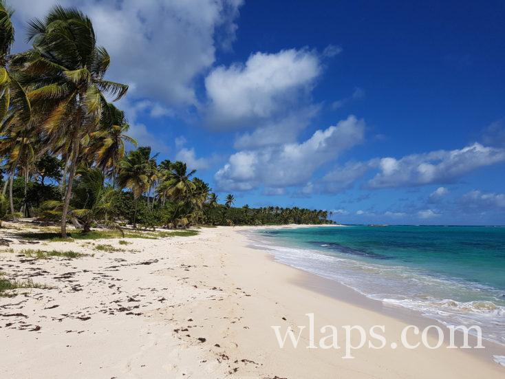 plage de Marie Galante une des iles de la Guadeloupe
