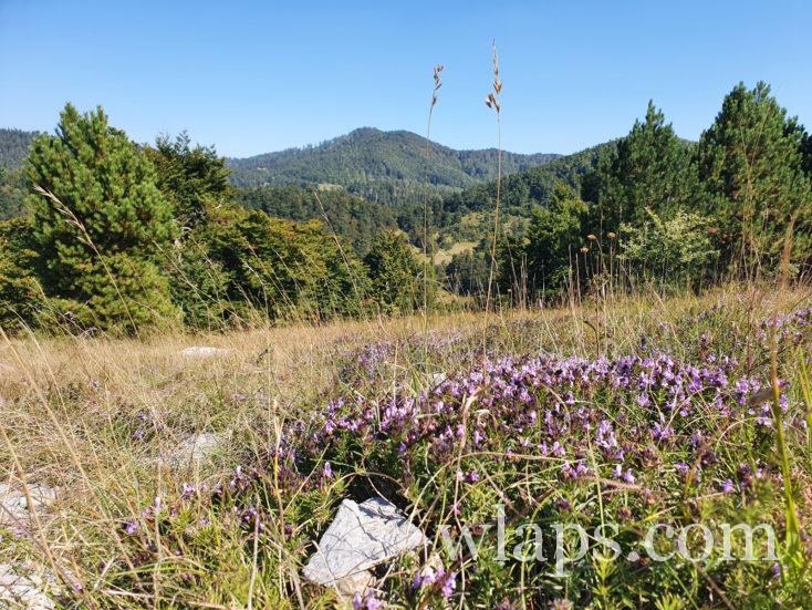 les montagnes du Golfe de Kvarner