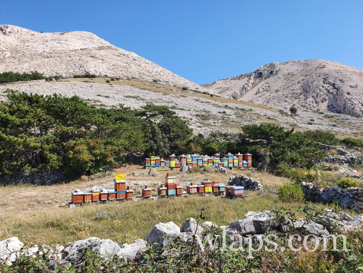 ruches de Stara Baška sur l'ile de Krk