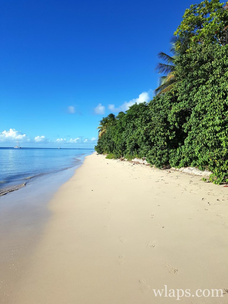 la plage des trois ilets de marie galante