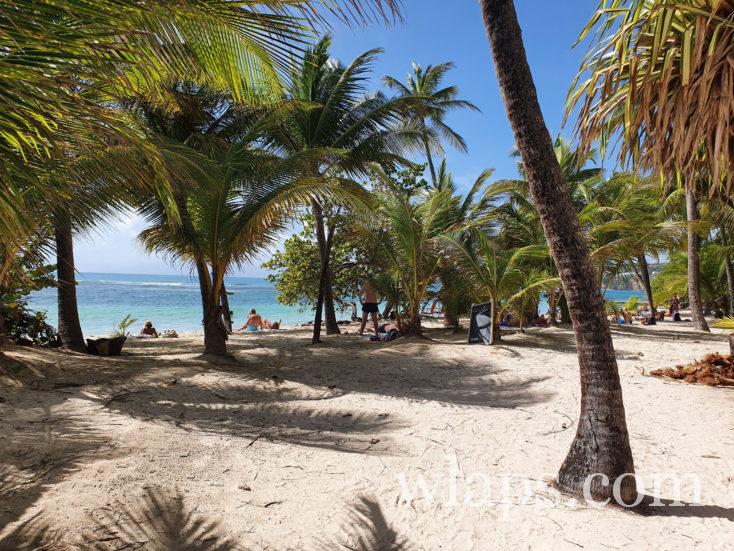 touristes au club med en Guadeloupe