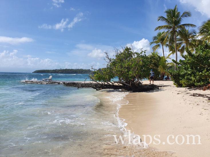 ponton de la caravelle en Guadeloupe