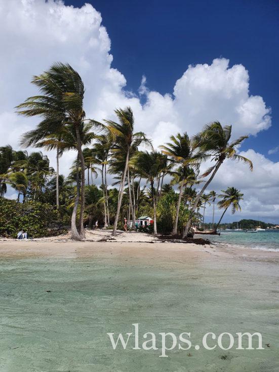 plage de sable blanc à Sainte Anne en Guadeloupe