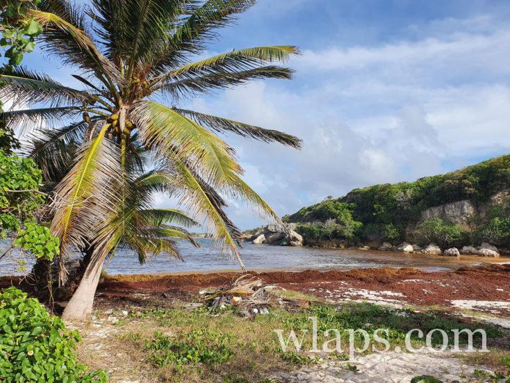 plage Anse à la Baie