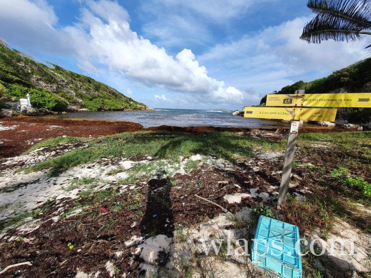 la plage Anse à la Baie