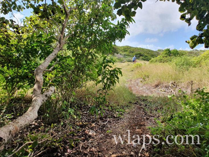sentier de randonnée près de porte d'enfer
