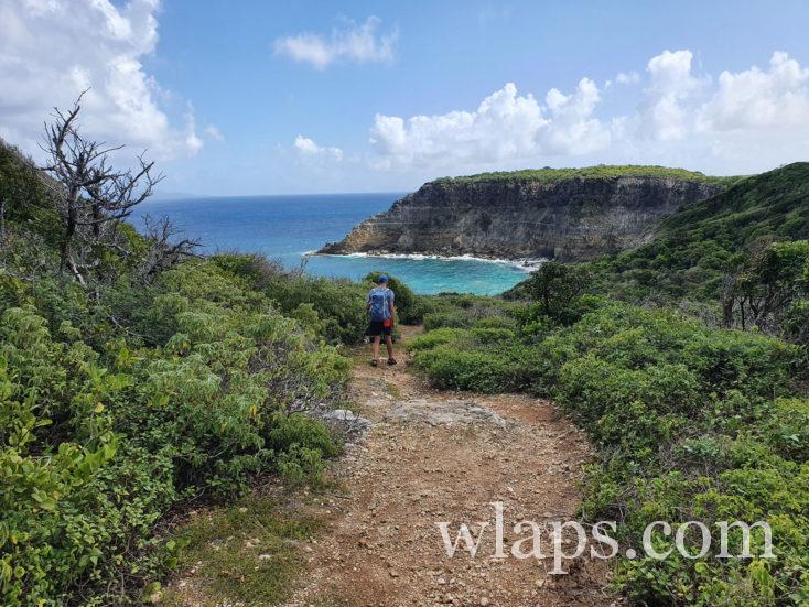 ombre sur le sentier de randonnée en guadeloupe