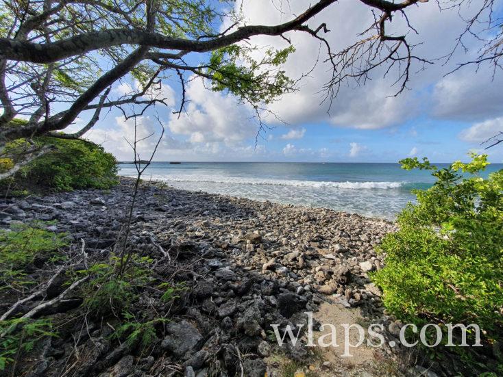 vue sur la baie degrat en guadeloupe