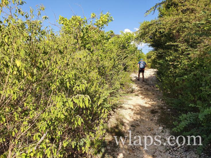 chemin de randonnée qui va à la baie degrat