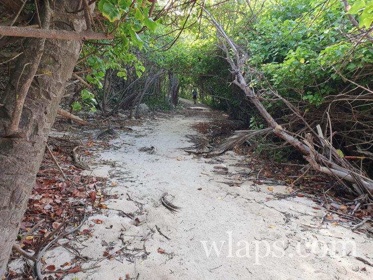 chemin de randonnée depuis la plage Anse à la Baie