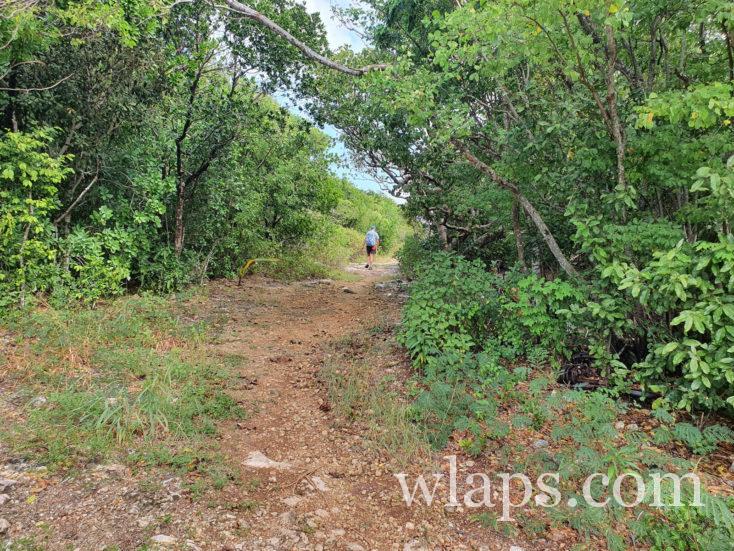 bois le long du chemin de randonnée
