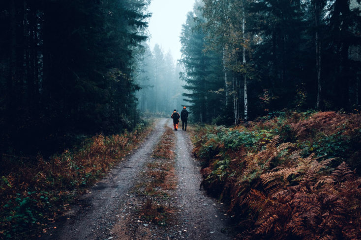 promenade en foret un jour de chasse avec chasseurs