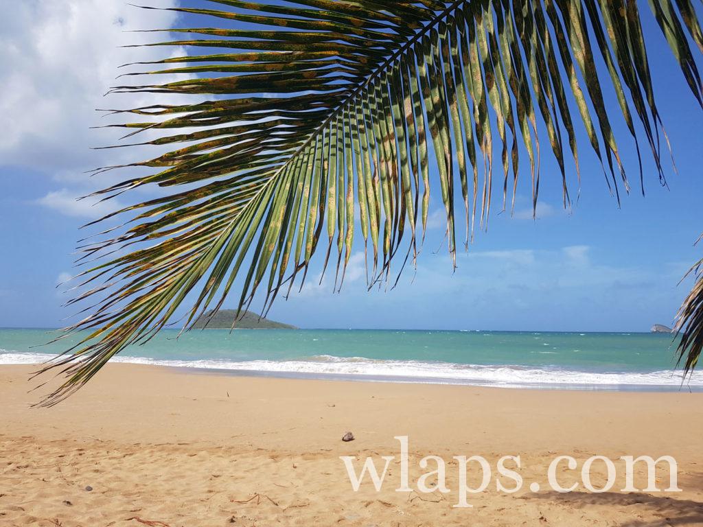 en vacances on va en guadeloupe pour ses plages de reve
