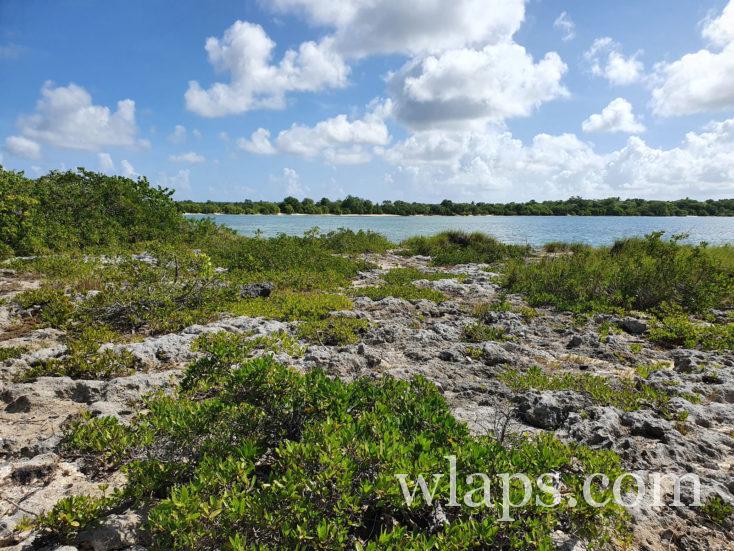 Pointe d'Antigue dans le nord de la Guadeloupe