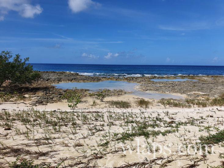 Pointe d'Antigue dans le nord de la Guadeloupe