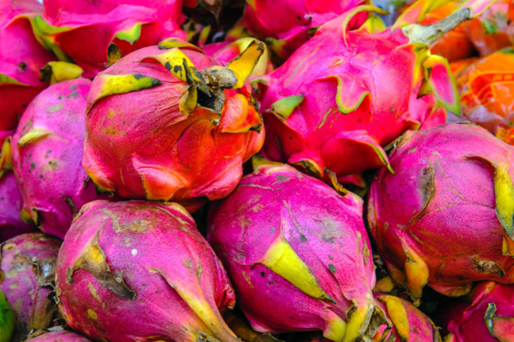 Le fruit du dragon ou pitaya à Tahiti