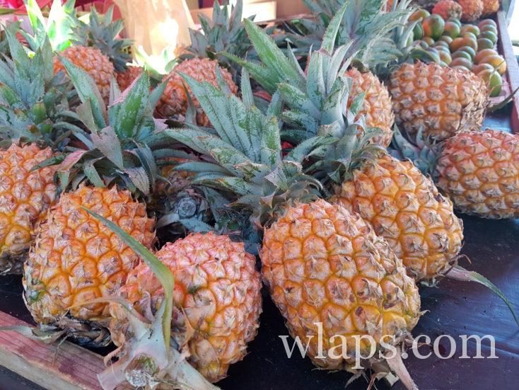 ananas de Tahiti, un fruit de Polynésie délicieux