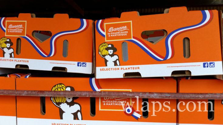 Les bananes de Martinique, un fruit à acheter au marché ou au supermarché