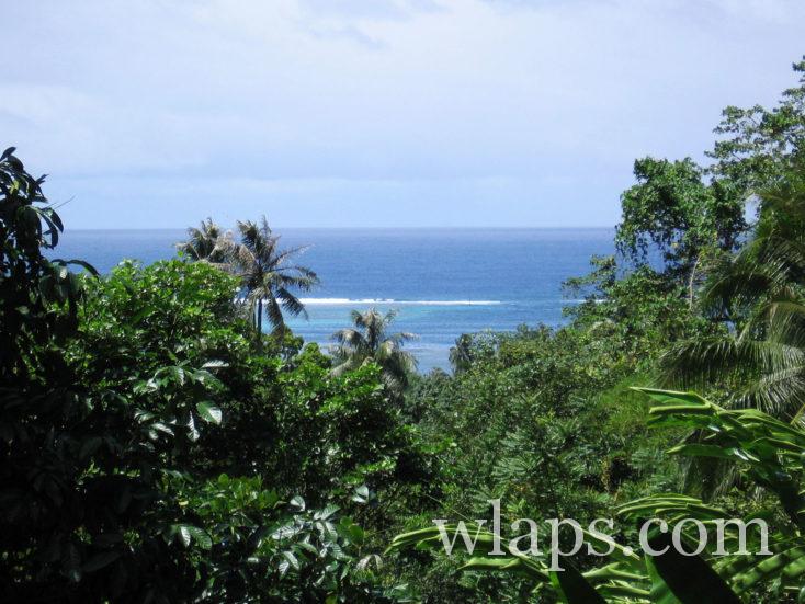 végétation luxuriante à Tahiti
