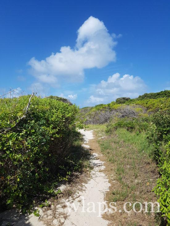 Le chemin qui va à la pointe Tarare