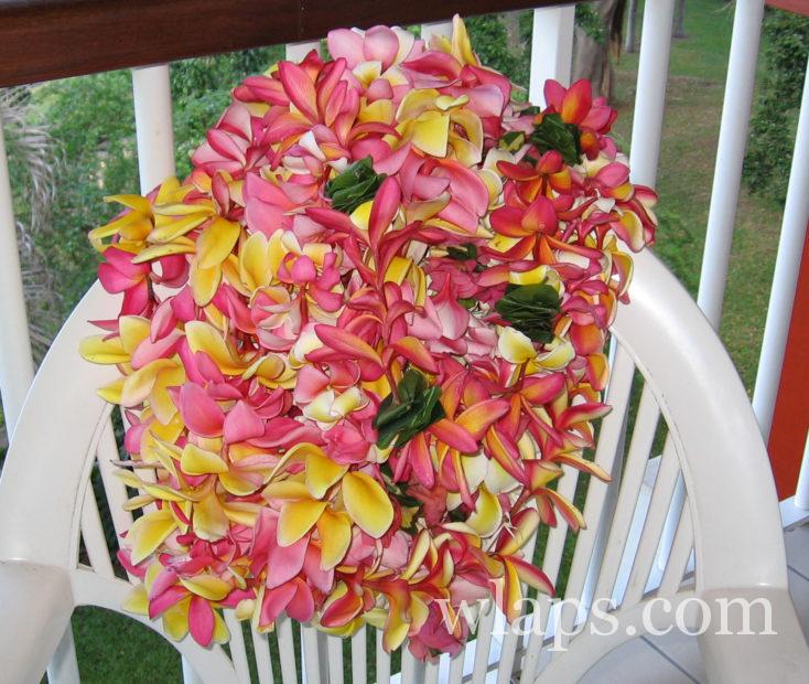 collier de fleurs de Tahiti
