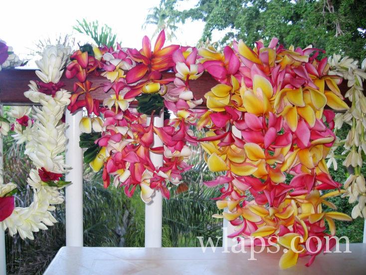 Colliers de fleurs de Tahiti