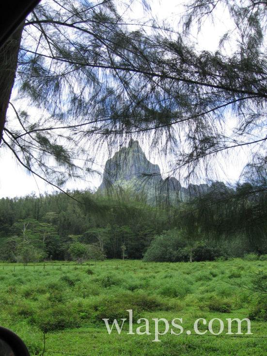 montagne à Moorea