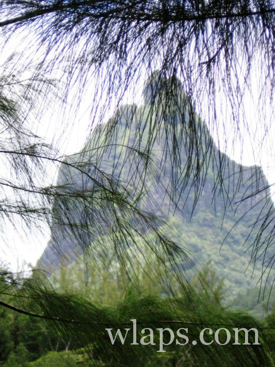 montagne à Moorea