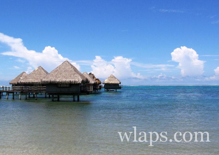 bungalows sur pilotis durant un voyage à Tahiti