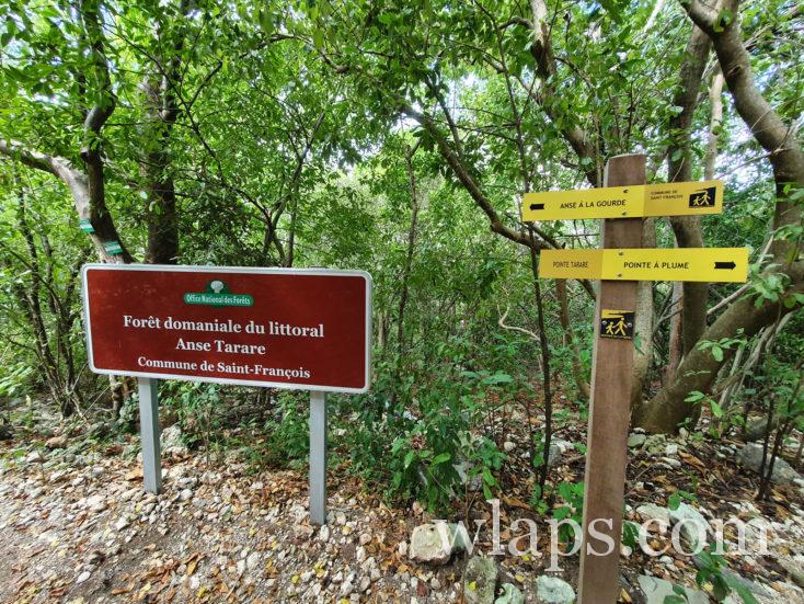 Panneaux pour aller à Anse à la Gourde et à la Pointe à Plume