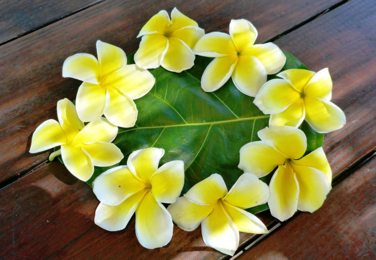 couronne de fleurs polynésiennes