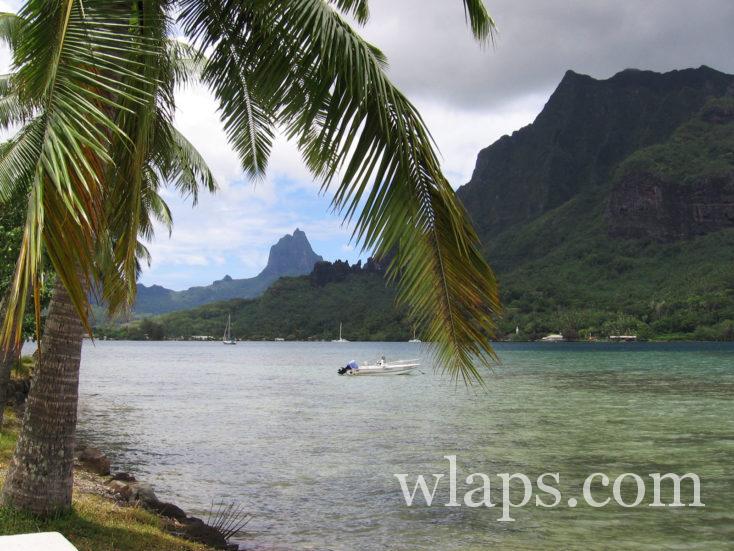 Baie de Cook à Moorea