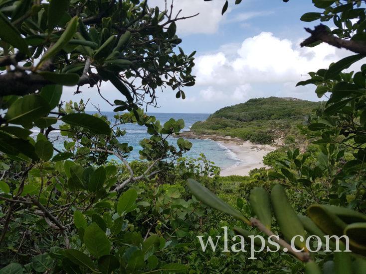 plage déserte en Guadeloupe