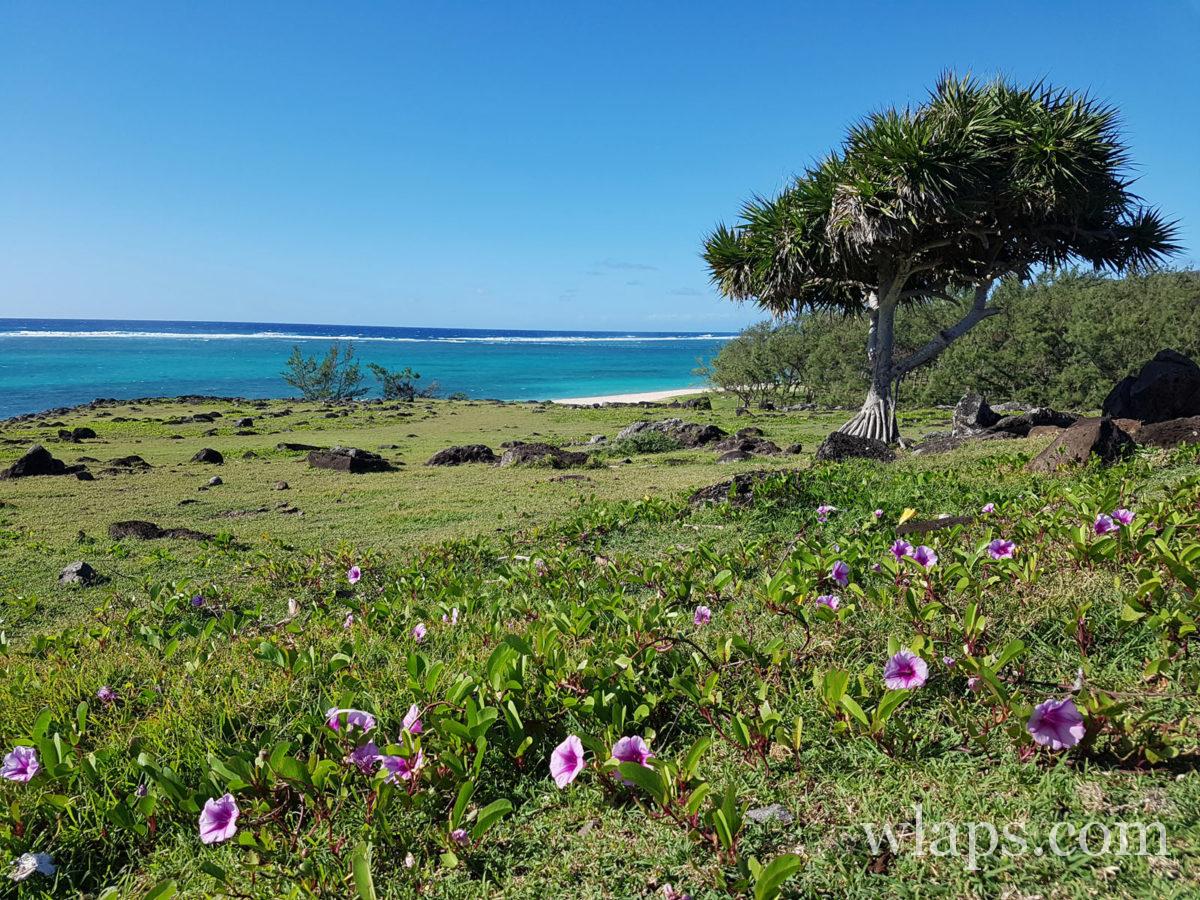 plages à Rodrigues