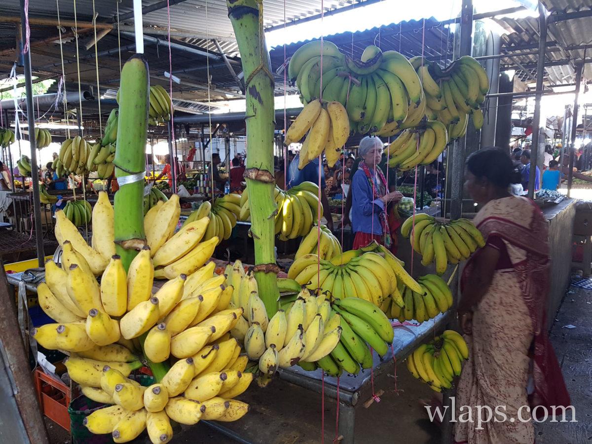 Régime de bananes au marché à l'île Maurice