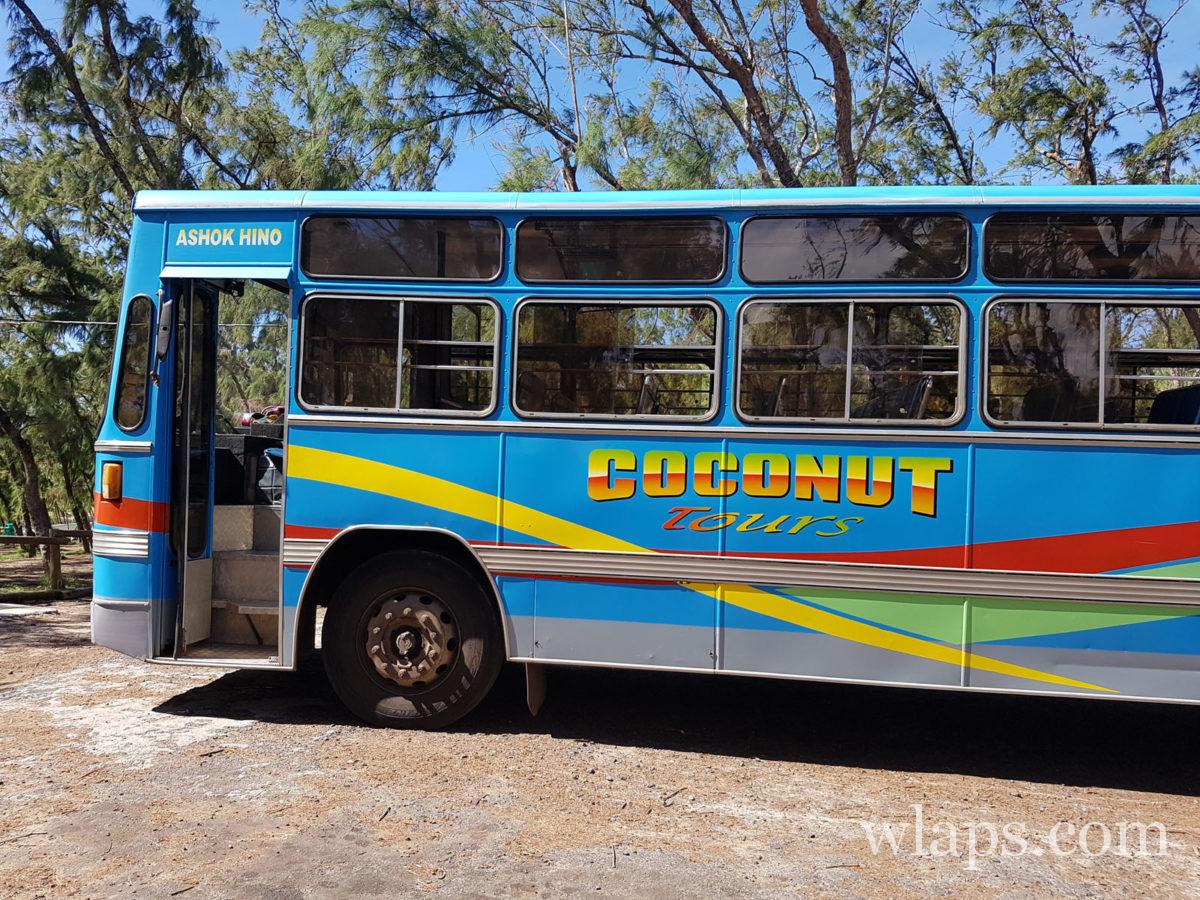 Bus garé à Pointe Coton