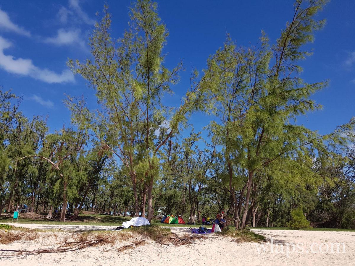 Plage de Pointe Coton à Rodrigues